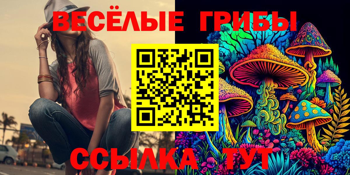 Галлюциногенные грибы Cubensis  Вход с VPN  Ревда  Псилоцибиновые грибы Magic Shrooms 