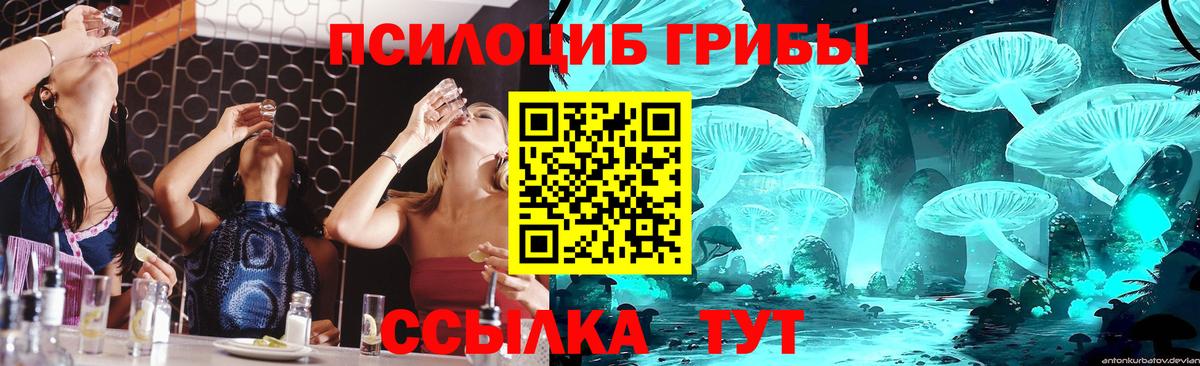 Галлюциногенные грибы ЛСД Ревда